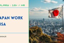 Japan Work Visa