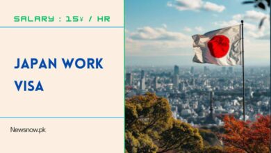 Japan Work Visa