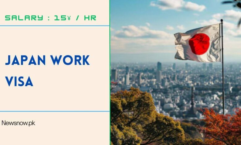 Japan Work Visa