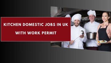 Kitchen Domestic Jobs in UK with Work Permit