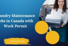 Laundry Maintenance Jobs in Canada with Work Permit