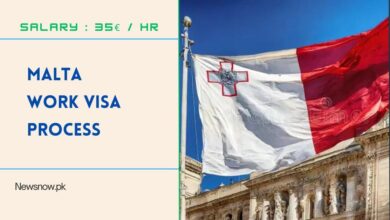 Malta Work Visa Process