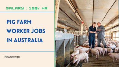 Pig Farm Worker Jobs in Australia