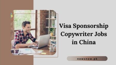 Visa Sponsorship Copywriter Jobs in China