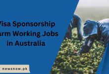 Farm Working Jobs in Australia