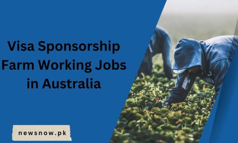 Visa Sponsorship Farm Working Jobs in Australia