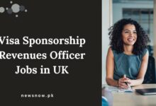 Visa Sponsorship Revenues Officer Jobs in UK