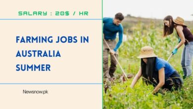 Farming Jobs in Australia Summer