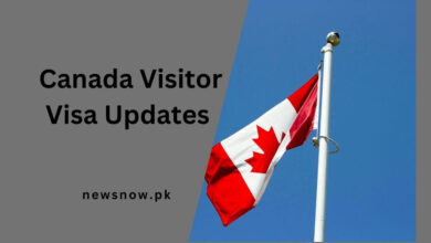 Canada Visitor Visa Updates