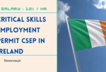 Critical Skills Employment Permit CSEP in Ireland