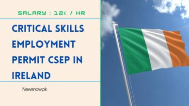 Critical Skills Employment Permit CSEP in Ireland