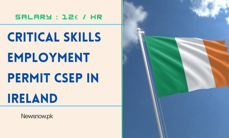 Critical Skills Employment Permit CSEP in Ireland