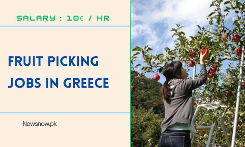 Fruit Picking Jobs in Greece