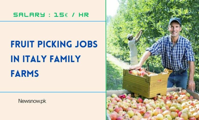 Fruit Picking Jobs in Italy Family Farms