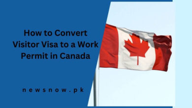 How to Convert Visitor Visa to a Work Permit in Canada