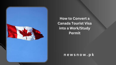 How to Convert a Canada Tourist Visa into a WorkStudy Permit 2024