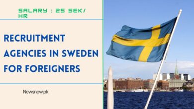 Recruitment Agencies in Sweden for Foreigners