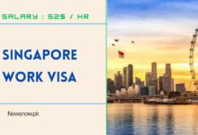 Singapore Work Visa