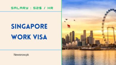 Singapore Work Visa