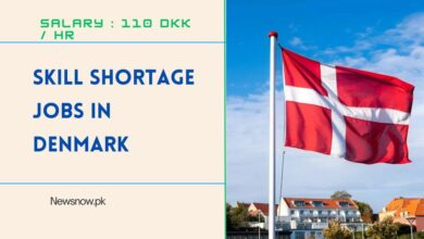 Skill Shortage Jobs in Denmark