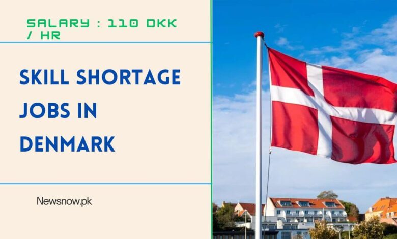 Skill Shortage Jobs in Denmark