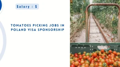 Tomatoes Picking Jobs in Poland