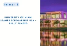 University of Miami Stamps Scholarship