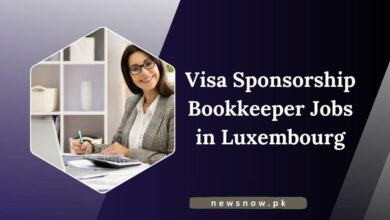 Visa Sponsorship Bookkeeper Jobs in Luxembourg