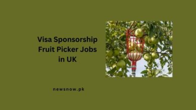 Visa Sponsorship Fruit Picker Jobs in UK