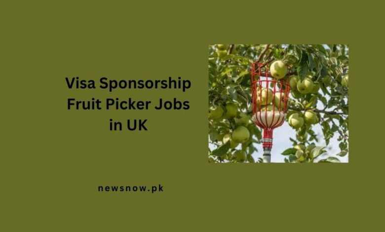 Visa Sponsorship Fruit Picker Jobs in UK