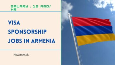 Visa Sponsorship Jobs in Armenia