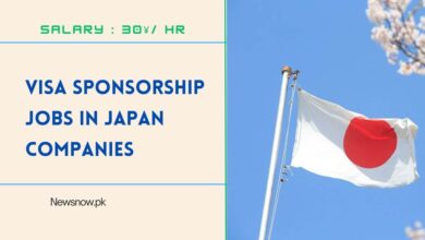 Visa Sponsorship Jobs in Japan Companies