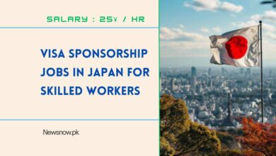 Visa Sponsorship Jobs in Japan for Skilled Workers