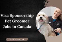 Visa Sponsorship Pet Groomer Jobs in Canada