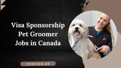 Visa Sponsorship Pet Groomer Jobs in Canada