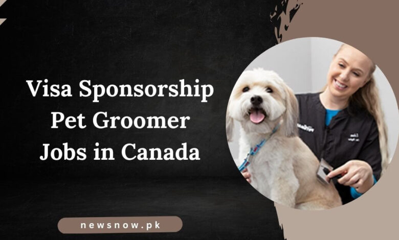 Visa Sponsorship Pet Groomer Jobs in Canada