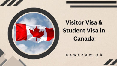 Visitor Visa & Student Visa in Canada