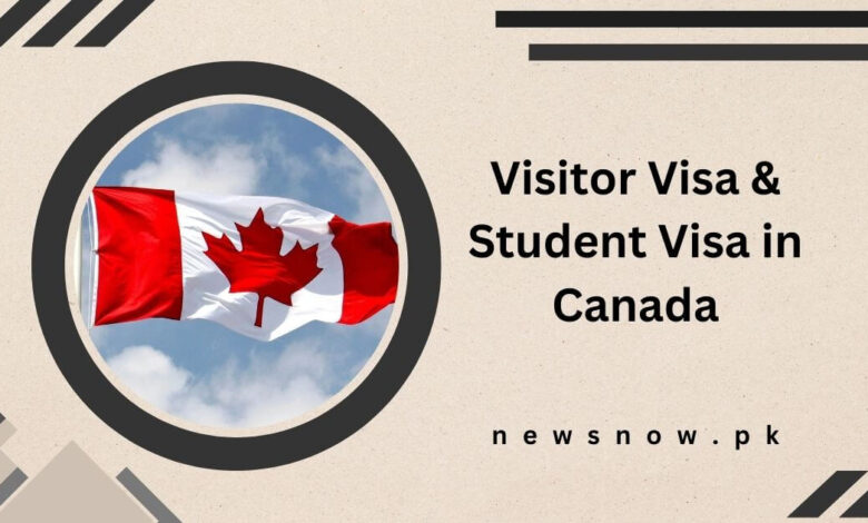 Visitor Visa & Student Visa in Canada