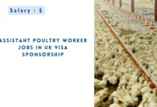 Assistant Poultry Worker Jobs in UK