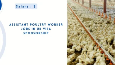 Assistant Poultry Worker Jobs in UK