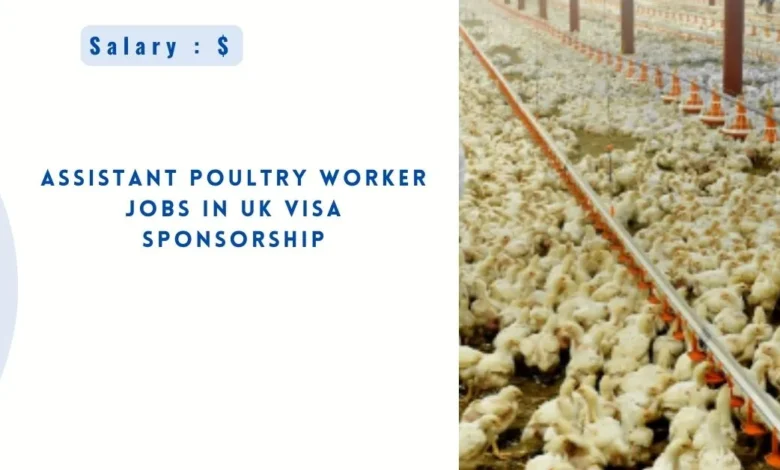 Assistant Poultry Worker Jobs in UK