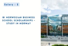 BI Norwegian Business School Scholarships