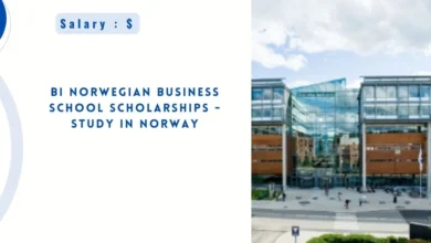 BI Norwegian Business School Scholarships