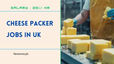 Cheese Packer Jobs in UK