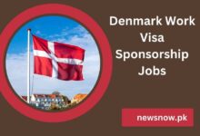Denmark Work Visa Sponsorship Jobs