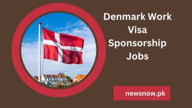 Denmark Work Visa Sponsorship Jobs