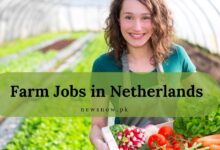 Farm Jobs in Netherlands