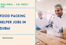 Food Packing Helper Jobs in Dubai
