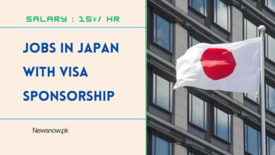 Jobs in Japan With Visa Sponsorship