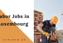 Labor Jobs in Luxembourg